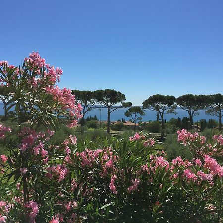 Agriturismo Nonna Bettina Moniga del Garda Zewnętrze zdjęcie