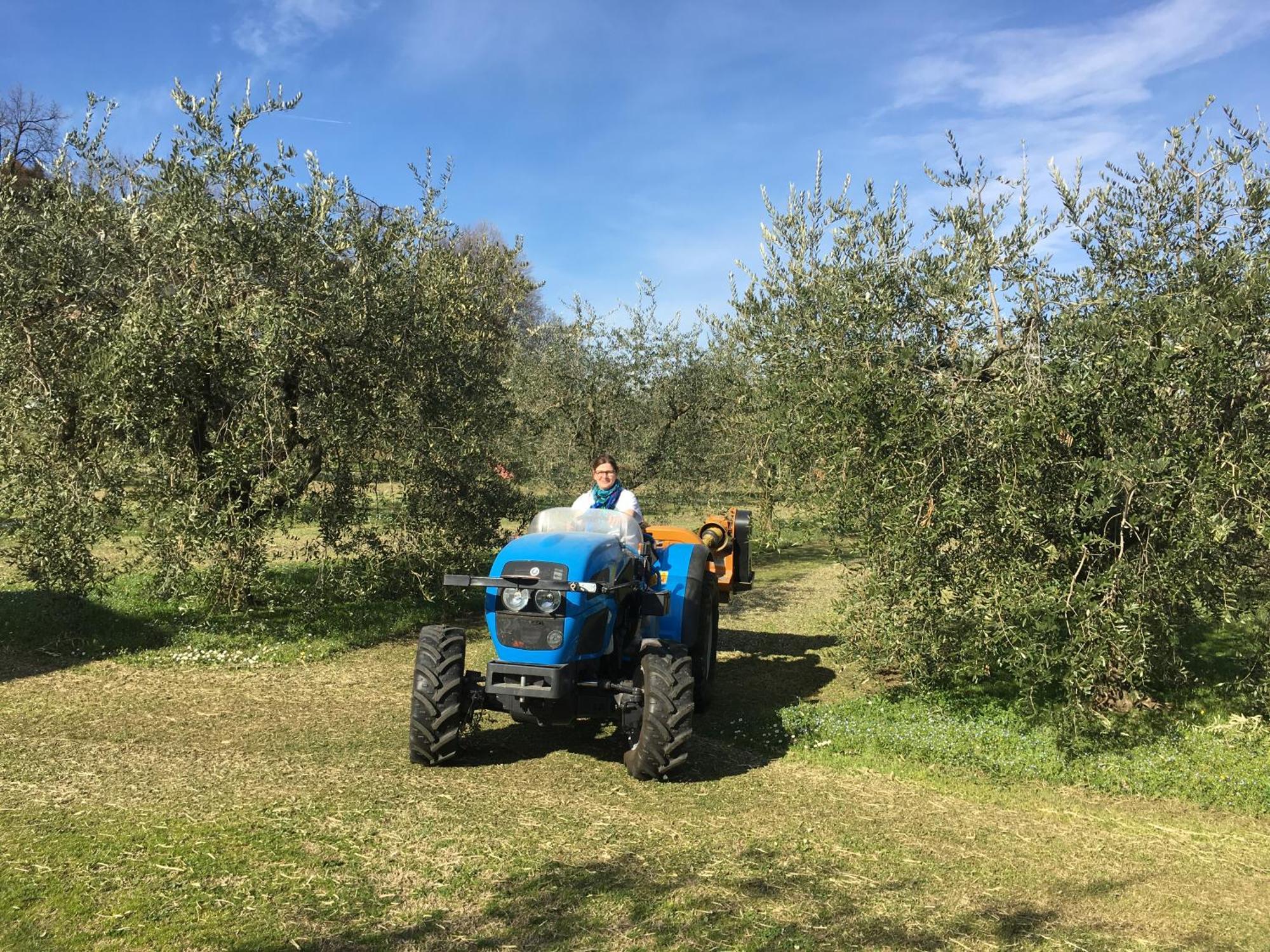Agriturismo Nonna Bettina Moniga del Garda Zewnętrze zdjęcie