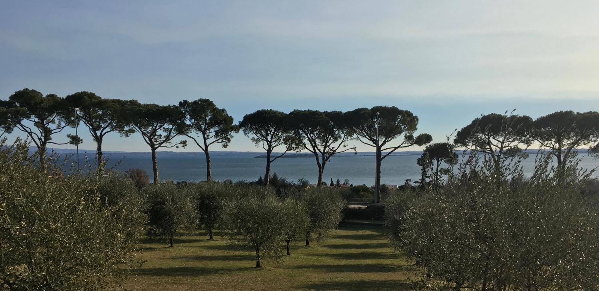 Agriturismo Nonna Bettina Moniga del Garda Zewnętrze zdjęcie