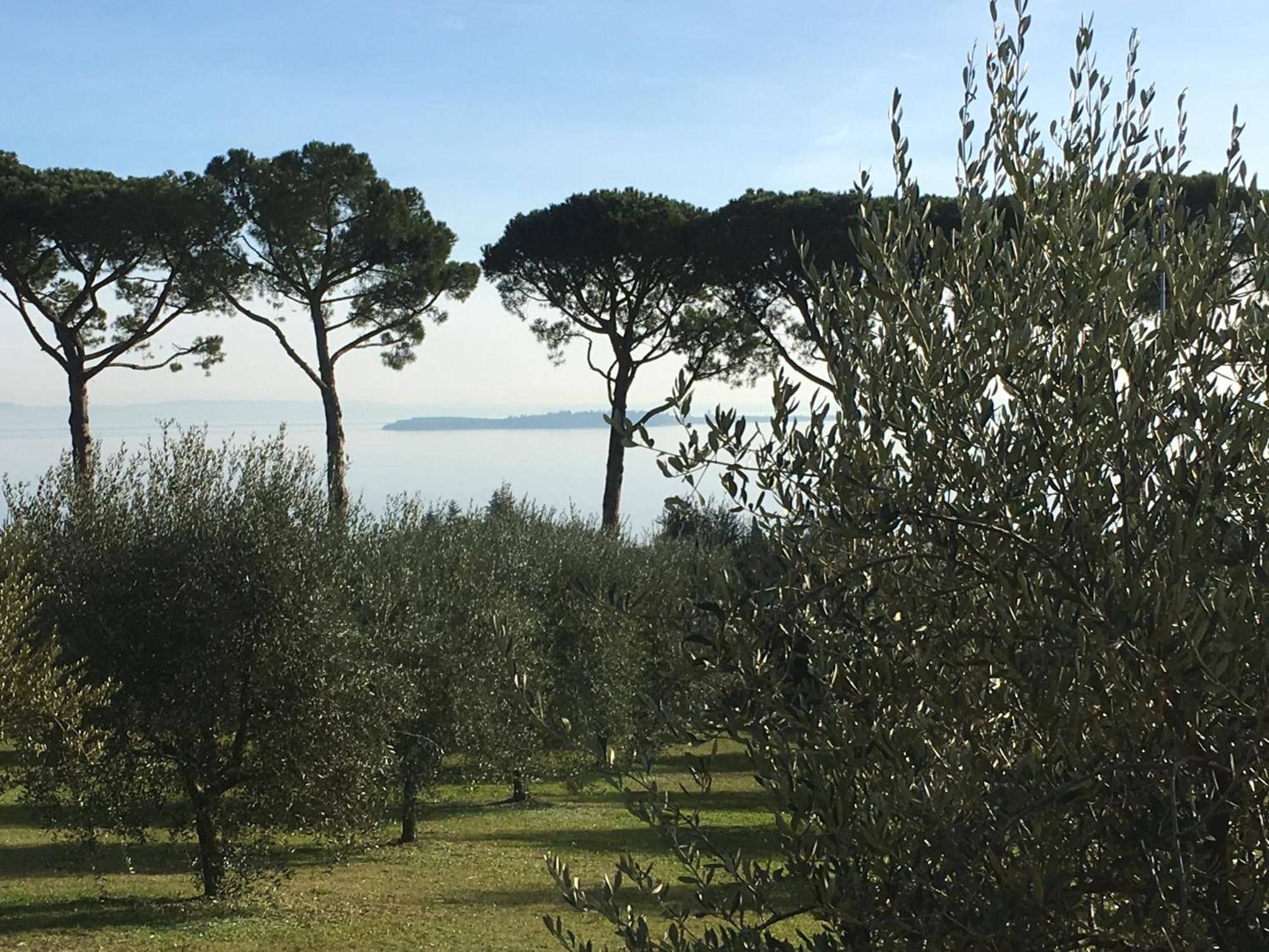 Agriturismo Nonna Bettina Moniga del Garda Zewnętrze zdjęcie