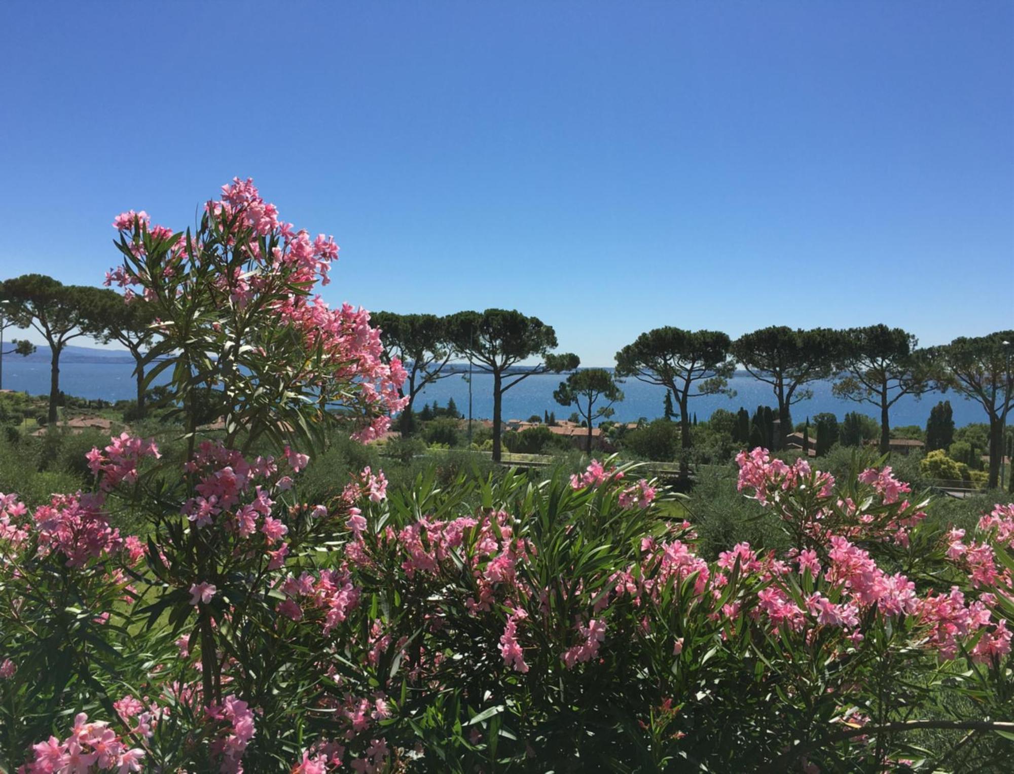 Agriturismo Nonna Bettina Moniga del Garda Zewnętrze zdjęcie